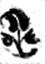 Fig 42 A Henrik Schute 1550.tif