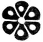 Fig 21 Bartolomeus 1530-t.tif