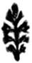Fig 12 a Bartolomeus 1520-t.tif