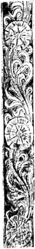 Fig 18 Bartolomeus 1530-t.tif